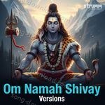 Om Namah Shivay Versions - Anuradha Paudwal Song Download